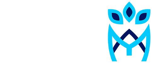 بازرگانی موهبت یار آریا